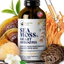 HAPPY FOX Irish Sea Moss Liquid Drops & Mushroom Tincture - Seamoss with 7 Adaptojenik Mushroom Extracts for Cognitive Support & Gut Health, Mushroom Coffee Elixir, Pure Vanilla Flavor