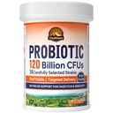 Vitalitown Probiyotiks 120 Milyar CFUs, 36 Strains, Prebiyotiks, Digestive Enzymes for Men Women, Gecikme, Raf Stable, On The Go Digestive Support, 30 Veg Caps