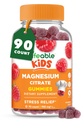 Çocuklar için Yaşamlanabilir | 900 mg Magnezyum Citrate | Great Tasting Kids Magnezyum Supplement | Gluten Free Muscle Support and Stress Relief Chewable | 90 Gummies