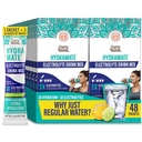 GuruNanda Hydration Support Drink Mix - Elektrolyte Toz Paketi Dehidrasyon, Egzersiz ve Enerji - Sweeteners, Non-GMO, Natural Lemon Lime Flavor - 48 Count (0.56 oz Her)