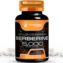 WELLNESS LABSRX Berberine Supplement 15,000mg - Ceylon Cinnamon ile Berberin, Genel Wellness Destek Kapsülleri - 120 Capsules (Pazar 1)