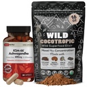 DailyNutra KSM 66 Ashwagandha (90 Capsules) ve Mushroom Cacao Mix (16oz) Rahatlama ve Odaklılık için Grafik (90 Capsules)