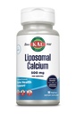 KAL Liposomaluba 500 mg, Yüksek Absordis Supplement, Essential Food Support, Vegan, Gluten Free, No Soy, 30 Hizmet, 90 VegCaps