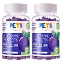 MSM & Elder Ekstra Güçleri ile Evcil hayvanlar Purest Glucosamine Chondroitin Gummies - Ortak Destek, Antioksi Immune Support Supplement for Yetişkinler, Men & Women(2 Pack) Blueberry