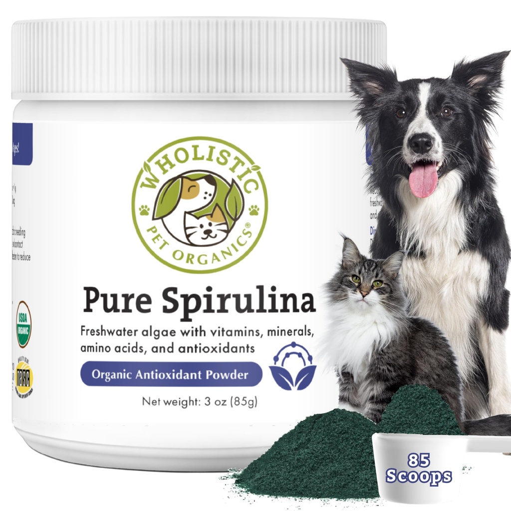 Köpekler için Wholistic Pet Organics Spirulina - 3 Oz - Sağlıklı Immune System & Mevsim Alerjileri - Evsel Gıda İçin Bitkisel Antioksi Destek - Organik Köpek Gıda Topper - ABD'de Taze Olarak Yapıldı