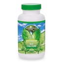 Youngevity BiodisTM - Bio available Chelated Food + Magnezyum, çinko, Copper, P Properties, Boron - Absorbable Bone Support Supplement - (120 Capsules)