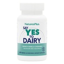 Natures Plus Evet, Süte - 50 Chewable Tabletler - Doğal Lactase Enzyme Supplement, maksimum Güçlü Digestive Aid, Lactose intolerance Relief - Gluten-Free - 50 Hizmetler