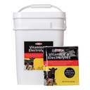 DURVET 136028 Vitamin & Elektrolytes, 8 oz