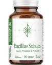 Bacillus Subtilis Spore Based Probiyotik - Yüksek Potency Strain with Prebiyotik for Balanced Belly | Günlük Gut Health & Microbiome Support for Family | 6 Milyar CFU Per Day | 90 Vegetarian Capsules