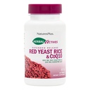 NaturesPlus Herbal Actives Red Yeast Rice 600 mg & CoQ10 100mg, Genişletilmiş Yayın - 30 Vegan Tablet - maksimum Potency Supplement, Antioxy - Vegetarian, Gluten-Free - 30 Hizmet