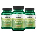 Swanson Lactobacillus Gasseri Probiyotik for Yetişkinler Seeking Digestive and Metabolic Support with 3 Milyar CFU - Asit-Resistant, No Refrigeration (60 Vegan Capsules, 3 Pack)