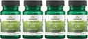 Swanson Oregano Oil 10:1 Ekstraksiyon - Doğal Supplement Digestive Health & Respiratory Support - Gastrointestinal System & Urinary Tract Health - (120 Softgels, 150 mg Her) (4 Pack)