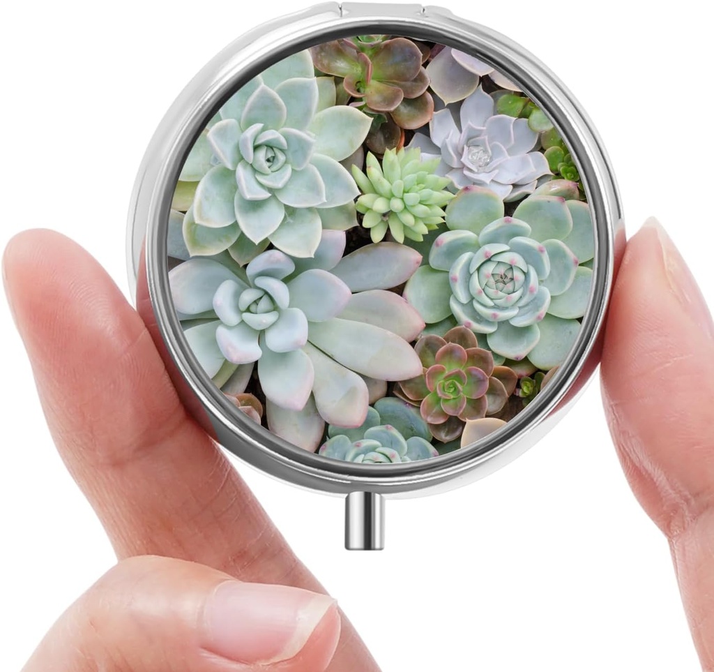 Mini Pill Box, Small Pill Box, Portable Pill Box, Cute Pill Organizer for Vitamins, Drugs, Fish Oil and Supplements (Succulent)