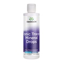 Swanson Concentrace Trace Mineralleri 8oz-Complete Mineral Kompleksi Enerji, Hydration, & Electrolyte Balance 72 Yüksek Aborpsiyon Ionic Minerals such As Magnezyum, Pyum, Kalsiyum (2 Paket)