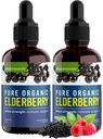 Organik Elderberry Syrup, 60 Günlük Supply, Black Liquid Drops for Immune Support, Sambucus Elderberry Syrup - Çocuklar ve Yetişkinler için Sıvı Ekstra Güçler (2 Paket)