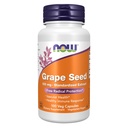Şimdi Tamamlar, Grape Tohum 100 mg - Standartlaştırılmış Ekstraksiyon, En Az 90 Polyfenols ile, C vitamini ile, 100 Veg Capsules