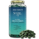 DoğalZing - 100% Saf Organik Spirulina Tabletler | No-GMO | Günlük Yeşiller | Vegan Superfood Protein & Antioksi Desteği – Phycocyanin, Beta Carotene & Iron - 2000 Tabletler (16 oz Bulk Pack)