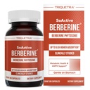 SoActive Berberine 550 mg: 9.6X Yüksek Aborpsiyon, Klinik olarak Studied, Phytosome | Supports Metabolism & AMPK Aktivasyonu | Non-GMO, Soy-Free | Klinik Olarak Geçerli Dose | 60 Hizmetler