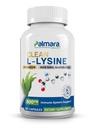 Palmara Health Clean L-Lysine 600 mg, 120 Capsules | Vegan, Non-GMO, & Gluten Free