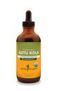 Herbm Pharm, Musculo iskelet Sistem Desteği için Organik Gotu Kola Sıvı Türlemeyi Onayladı - 4 Ounce
