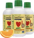 Çocuk Hayatı Temelleri Çocuklar için Sıvı Kalsiyum Tamamı - Magnezyum, çinko ve Vitamin D3 - Orange Flavor, 16 fl oz (3 Pack)