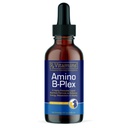 Rx Vitaminleri Amino B Plex Cat & Dog Supplement - B Kompleks Sıvı Plus Deriler ve Kediler için Asitler - Appetite ATM ve Kilo Winer Cat & Dog Vitaminleri - 4 oz