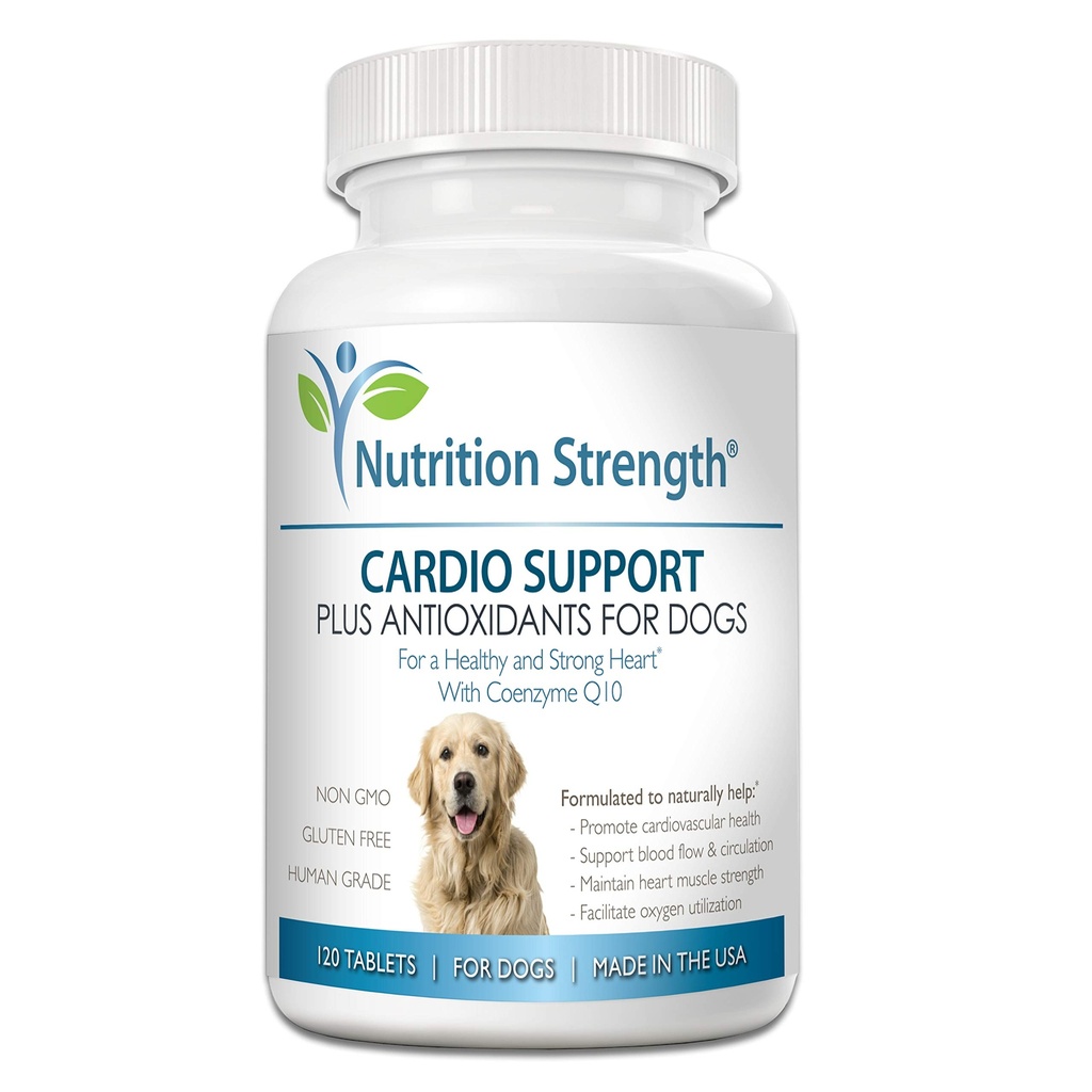Köpekler Plus Antioksit, L-Carnitine, L-Taurine, Coenzyme Q10 ve Vitamin E ile, Sağlıklı ve Güçlü Köpek Kalpini Teşvik Ediyor, 120 Chewable Tabletler
