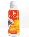 Kedi Vitaminleri - 16 OZ - Kediler için Sıvı Vitamin ve Antioksi Supplement - 96 doz