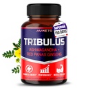 Tribulus Terrestris 98 Saponins - Yohimbine, Red Panax BTC, Ashwagandha'yı Güçlendirmek için Geliştirdi, Stamina & Endurance* - ABD'de Yapılacak