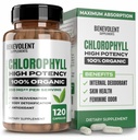 Benevolent Chlorophyll Capsules 350 mg -% 100 Doğal + Ultra Klorophyll 20x Potency, Immune Support, Internal Deodorant, Skin Health, Non-GMO, 120 Capsules