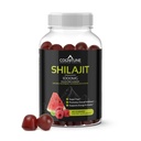Shilajit Gummies – Pure Himalaya Shilajit Supplement with Fulvic Acid – 1000 mg Natural Shilajit Pure Energy Support – Sugar-Free Raspberry Watermelon Flavor – Vegan, Non-GMO, Gluten-Free – 60 Count