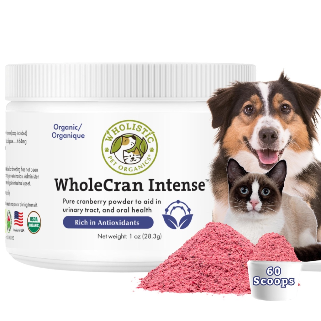 Wholistic Pet Organics WholeCran Intense: Köpekler için Organik Cranberry Toz Urinary Tract Support Kidney Support for Dogs UTI Treatment Vitamin C and Antioksis Dog Incontinence Product Product