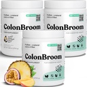 KolonBroom Psyllium Husk Toz Stevia (Tropical Fruits) - Bloating Relief & Gut Health - Kolon Broom Fiber Toz İçilir - Vegan Fiber Toz Ek, 150 Hizmet