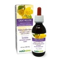 Naturalma Great Mullein veya Common Mullein (Verbascum thapsus) Flower and Leaf Alkol-Free Tincture - 4 fl oz Sıvı Ekstraksiyon - Herbal Supplement - Vegan