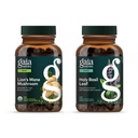 Gaia Herbs Lion's Mane Mushroom - Yardım Nörolojik Sağlık - 120 Vegan Sıvı Phyto-Capsules & Holy Basil - Sustain'e Stresten Olumlu Bir Zihinsel ve Denge Yardım - 120 Vegan Lik