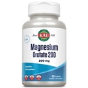 KALEM Orotate 200 mg, Superior Abors Formula, Sağlıklı Kemikler, Dişler, Nerve ve Kas Fonksiyonlar, Vegetarian, Non-GMO, Gluten Free, 30 Hizmet, 120 VegCaps