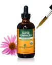 Herbm Pharm, Active Immune Sistem Desteği için Organik Süper Echinacea Sıvı Türlemeyi Onayladı - 4 Oz