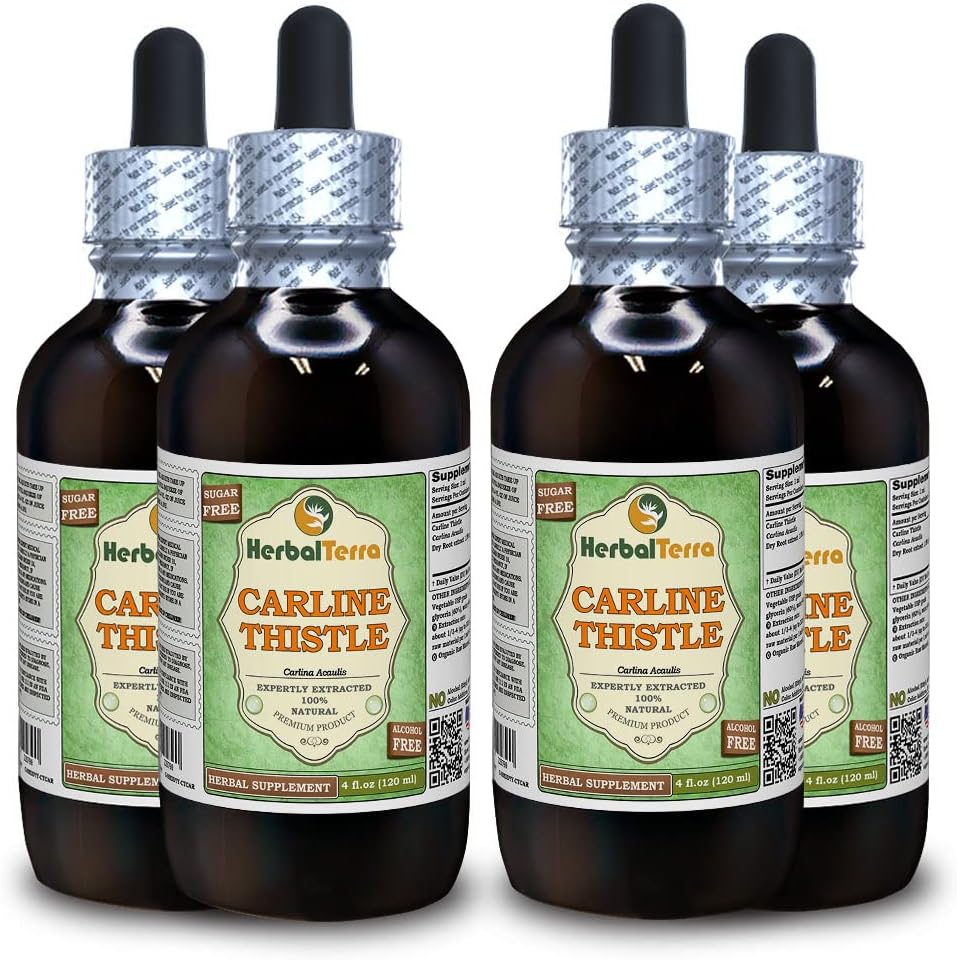 Carline Butle (Carlina acaulis) Glycerite, kıl Kökleri Alkol Özgür Sıvı Ekstraksiyon (Brand Name: HerbalTerra, Proudly Made in USA) 4x4 fl.oz (4x120 ml)