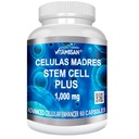 Celulas Madres 60 Capsules Vitamisan 1000 mg Aphanizomenon Flos-aquae Blue Green Algae AFA Stem Natural Hücreleri