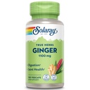 SOLARAY Ginger Root 1100 mg | Sağlıklı Digestion, Ortaklar ve Hareket & Stomach Discomfort Desteği | Tüm Kök | Non-GMO & Vegan | 100 VegCaps