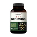 İrlandalı Deniz Moss Capsules, 3000mg Per, 240 Veggie Pills | Organik Raw Toz ile Yap, Plus Bladderwrack & Burdock Kök, Deniz Kompleksi – Immune & Thyroid Superfood Desteği – Non-GMOMO