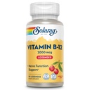 SOLARAY Vitamin B12 2000 mcg Lozenges - No Sugar, Natural Cherry Flavor Vitamin B 12 Supplement for Nerve Function, Energy and Red Blood Cell Support - Lab Onaylandı, Vegan - 90 Hizmet, 90 Lozenges