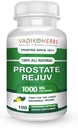 Sertifikalı Organik Vadik Herbs Prostate Rejuv Herbal Diyetsel Supplement | Sağlıklı Prostate Health'i teşvik eder ve İlgili Belirtileri azaltır, Destekler Normal Prostate Functioning (1 Pack)