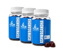 Ashwagandha Gummies Karma Berry KSM-66, Lion's Mane, Vitamin-D, Non-GMO, Gluten-Free, Gelatin Free & Kosher (180 Kont)