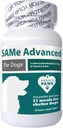 Project Paws Same for Dogs - B Vitamini ile Köpekler için Canlı Destek - Bilişsel Köpek Tamamı - Köpekler için Adenosyl Methionine - 60 ct.