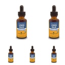 Herbm Phar, Calming Nervous System Support, Organik Cane Alkol, 1 Ounce (Pack of 5) için Organik Limon Balm Sıvı Türlemeyi Onayladı.