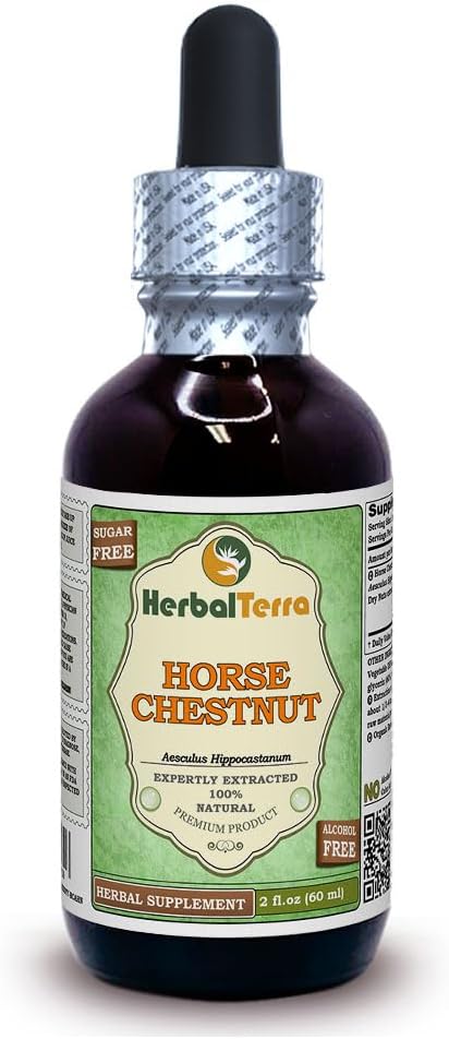 At Chestnut (Aesculus Hippocastanum) Glycerite, Organik kuru Nuts Alkol-FREE Sıvı Ekstraksiyon (Brand name: HerbalTerra, Proudly made in USA) 2 fl.oz (60 ml)