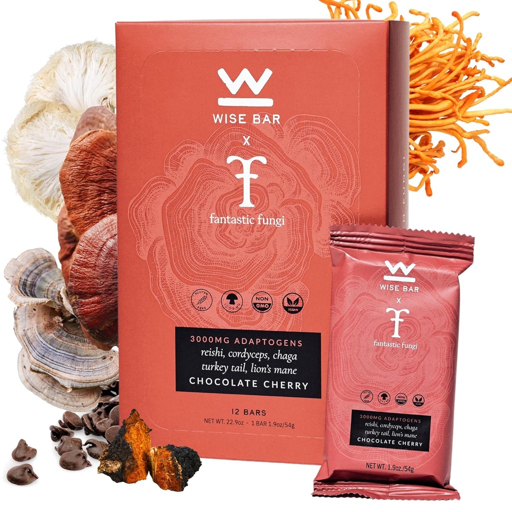 Bilge Bar Adaptogen Mushroom Beslenme Barları Reishi, Lions Mane & Ashwagandha, Organik Vegan & Gluten Free Snacks for Natural Focus, Energy & Immunity Support, Chocolate Cherry Flavor, 12 Count