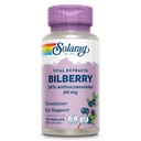 SOLARAY Bilberry Berry, 60 mg Per Capsule, Güçlü Antioksi, Sağlıklı Vizyon ve Circulation Desteği 120 VegCaps
