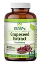 Herbal Sırları 400 mg 120 Veggie Capsules Supplement - Non-GMO - Gluten Ücretsiz